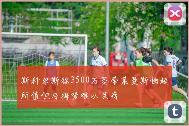 斯科尔斯称3500万签蒂莱曼斯物超所值但与梅努难以共存